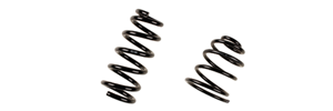 Suspension spring Suspension spring